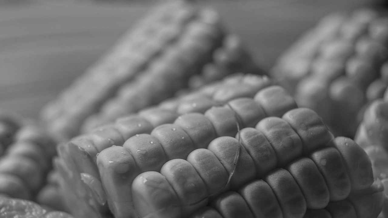 Can U.S. Corn Break its Long-Held $3 Price Floor? 