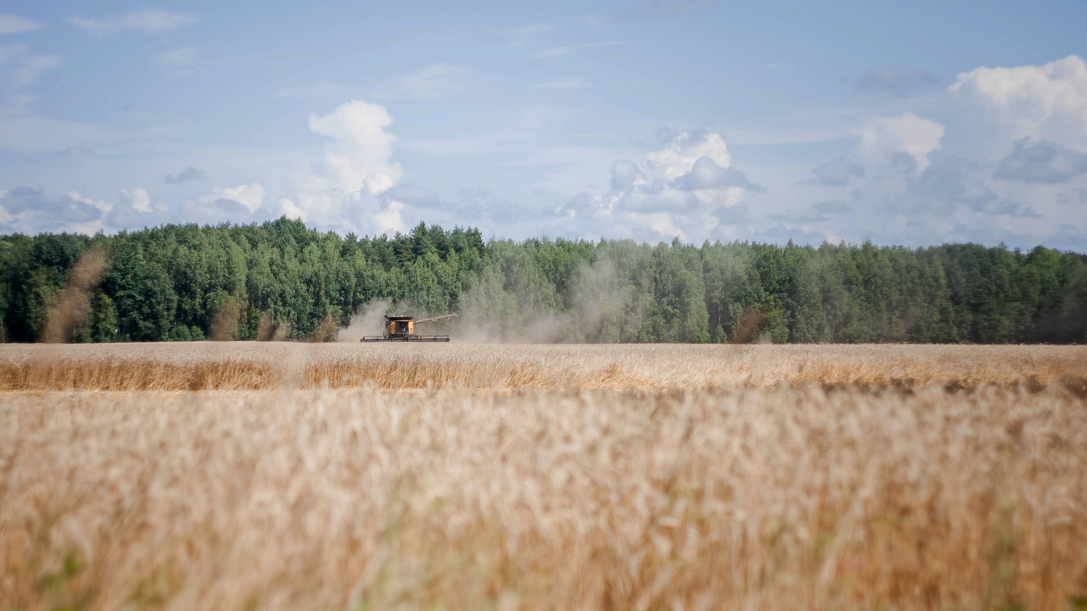 SovEcon ups Russian wheat crop forecast but says that USDA’s estimate could be too optimistic