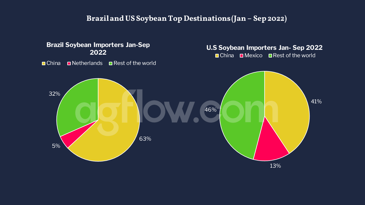 Brazil and U.S. Top Soybean Destination Between January and September 2022