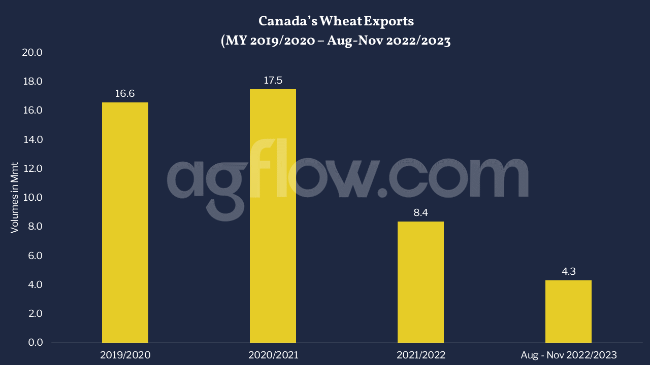 Canada’s Wheat Exports (MY 2019/2020 & Aug to Nov 2022/2023)