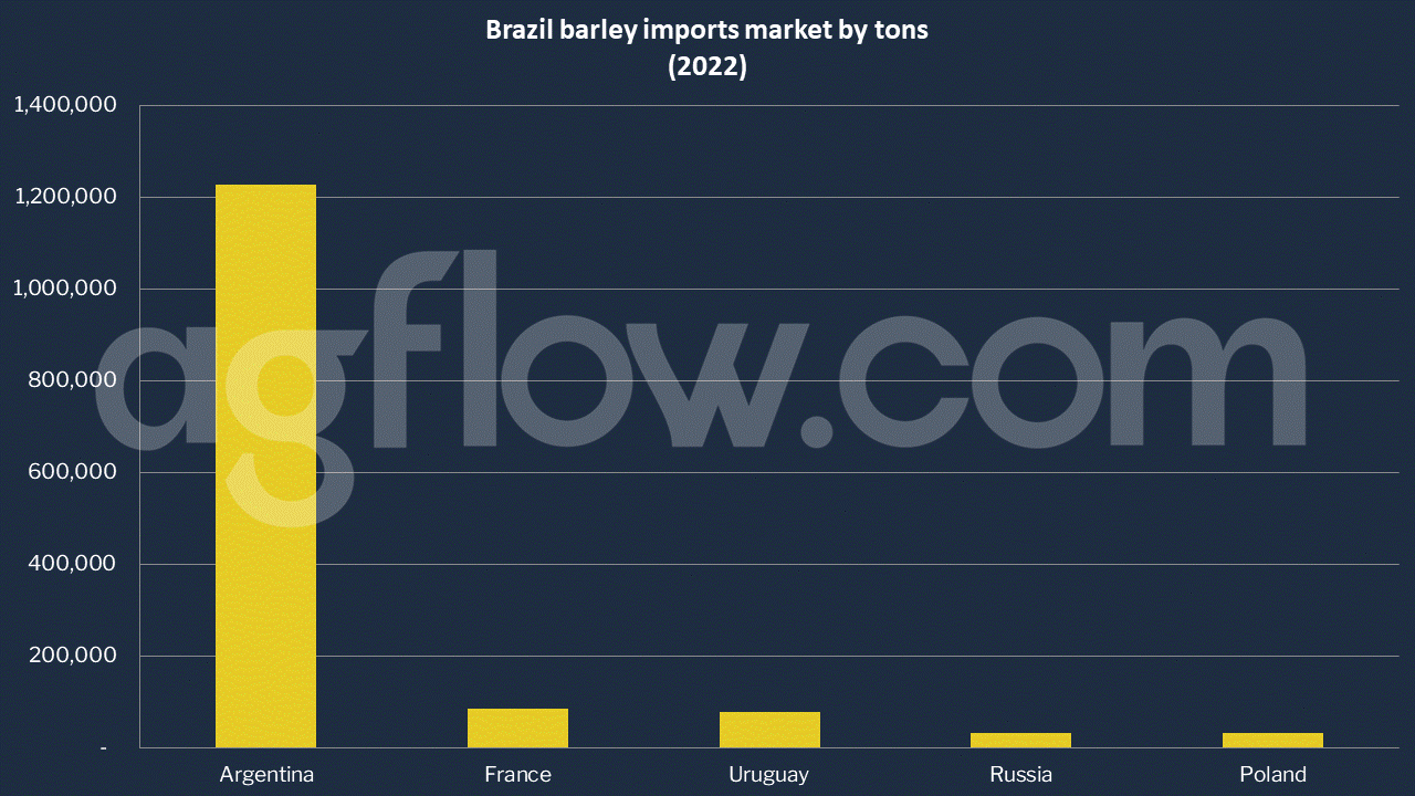 Brazilian Barley Yield Quadruples 