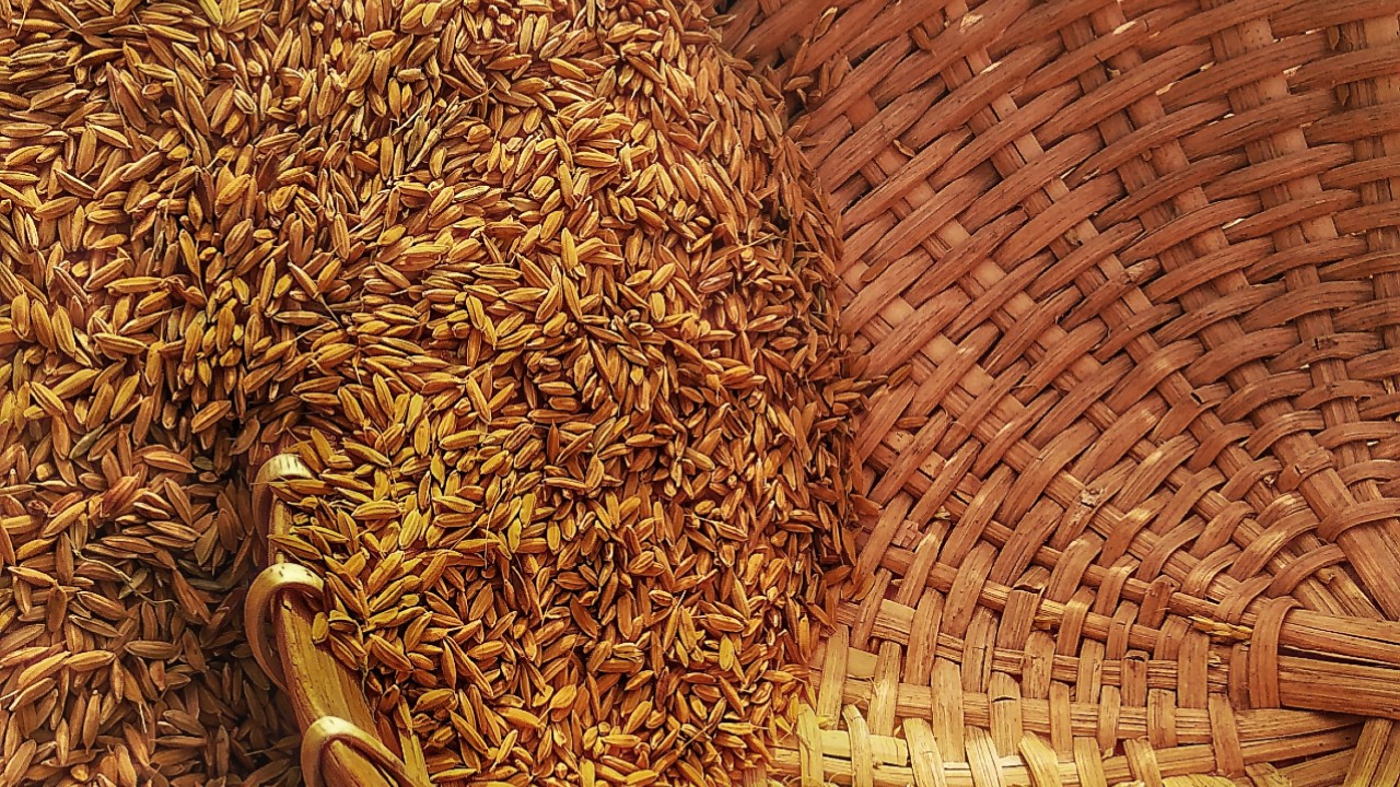 Estonian Grain Goes Deep in Africa