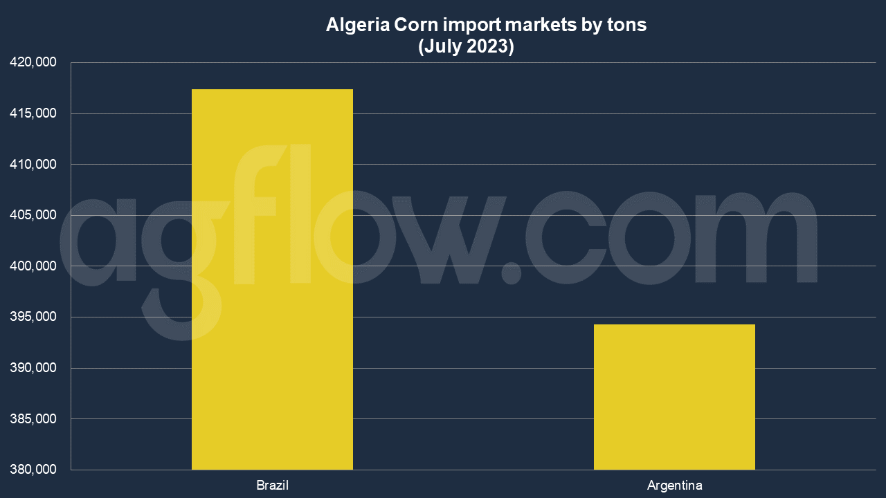Algeria's Corn Imports: Stiff Competition Among Brazil And Argentina