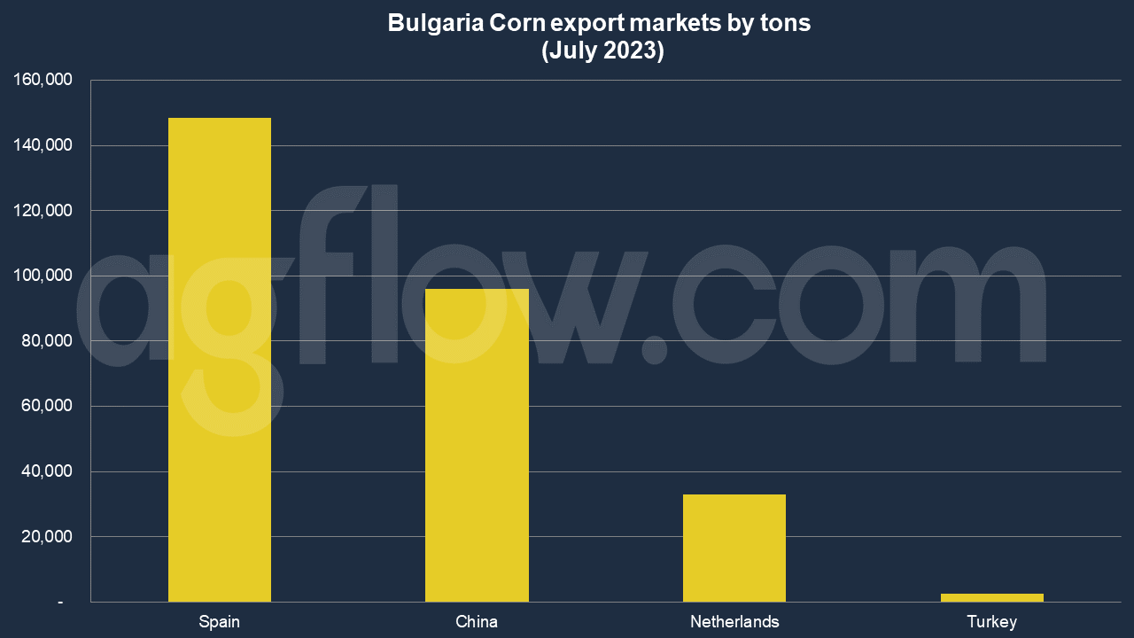 Spain Emerges as a Key Importer of Bulgarian Corn