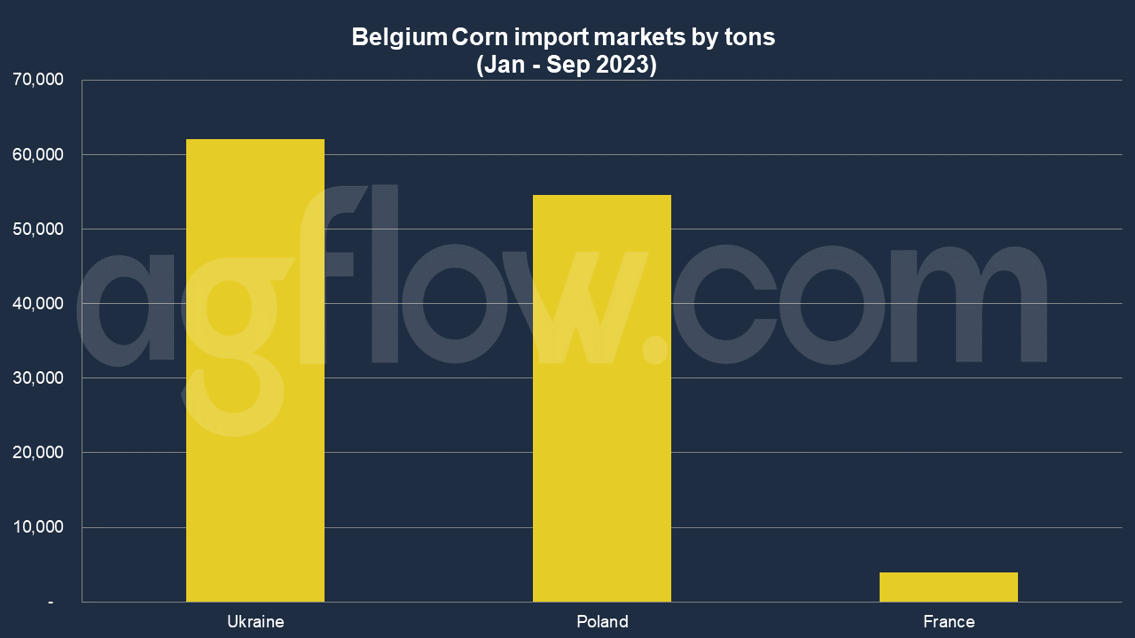 Poland Emerges in Belgium’s Corn Import Market 
