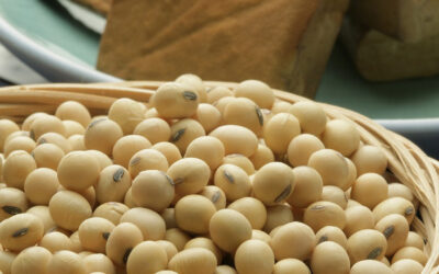 The Dominican Soybean Imports: Brazil Threatens the US