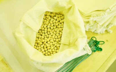 Singapore Makes Debut in Brazil’s Soybean Export Market 